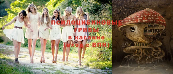 марки lsd Няндома