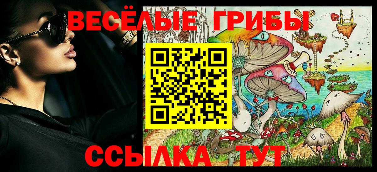Псилоцибиновые грибы мицелий Полысаево
