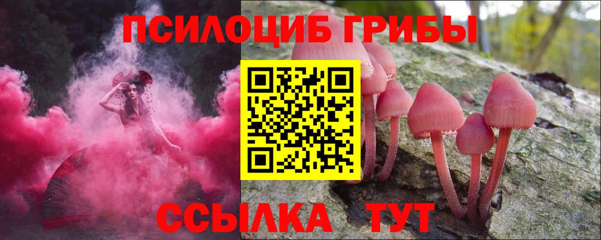 Псилоцибиновые грибы Cubensis  Полысаево 